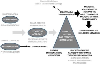 Editorial: Searching for Solutions to Soil Pollution: Underlying Soil-Contaminant Interactions and Development of Innovative Land Remediation and Reclamation Techniques